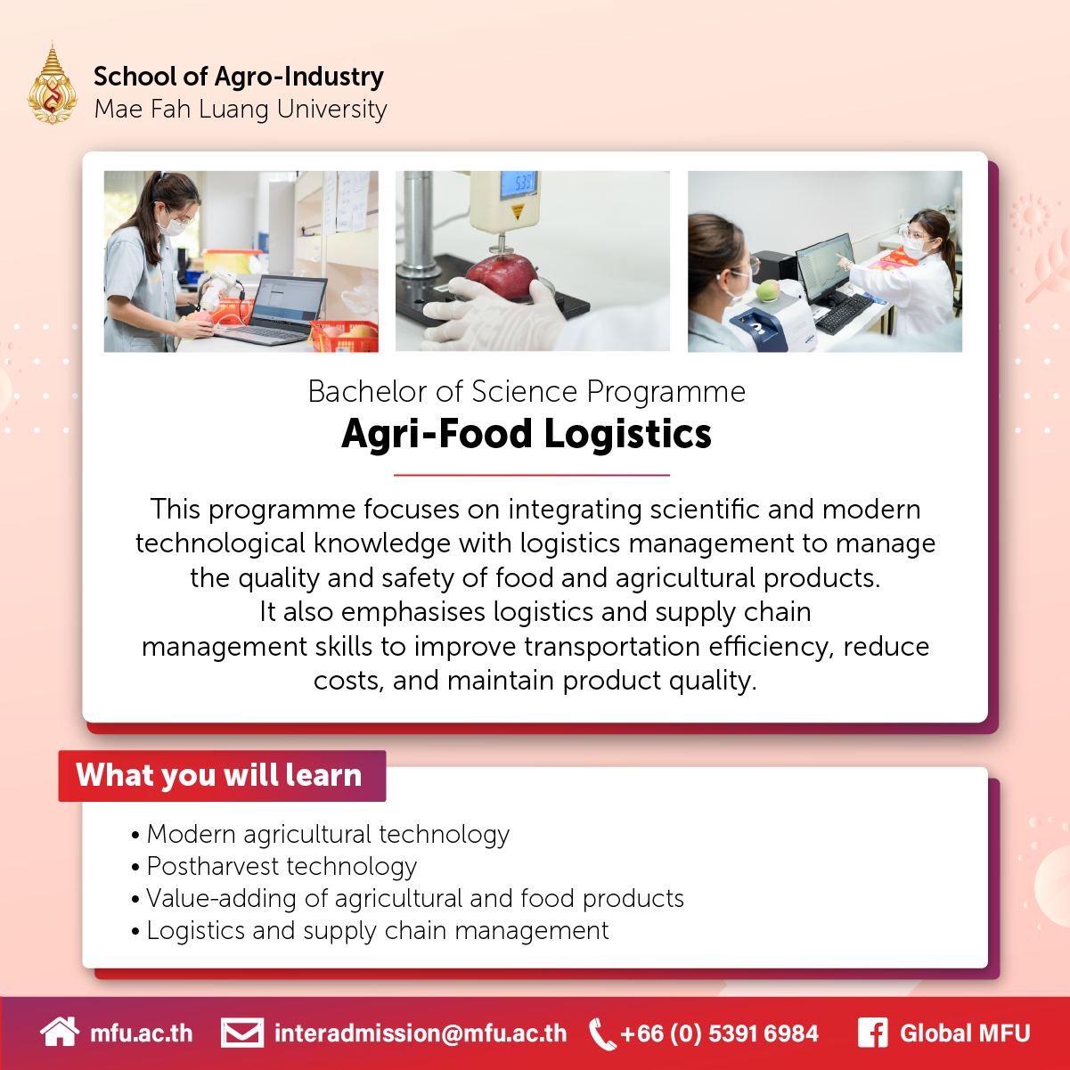 Prepare to create impact in the global food industry